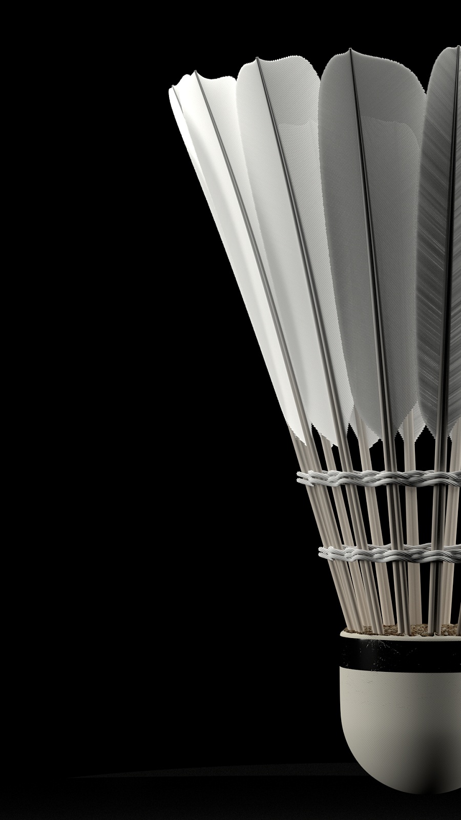 从生态角度 从生态角度